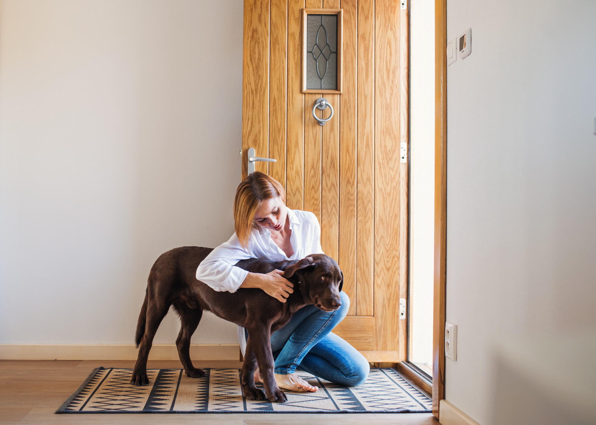 Pros and Cons of Allowing Pets in Your Rental Property in Wichita, KS